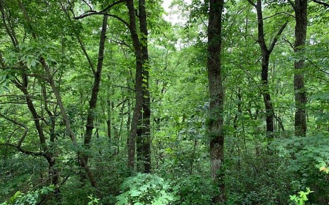 Lot 50A Eagles View, Hayesville NC 28904 - Primary photo
