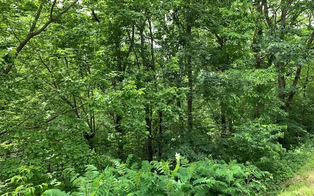 Lot 50A Eagles View, Hayesville NC 28904 - Photo