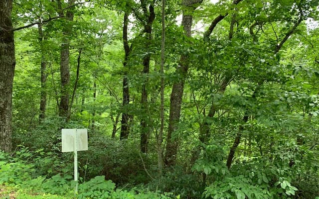 Lot 50A Eagles View, Hayesville NC 28904 - Photo