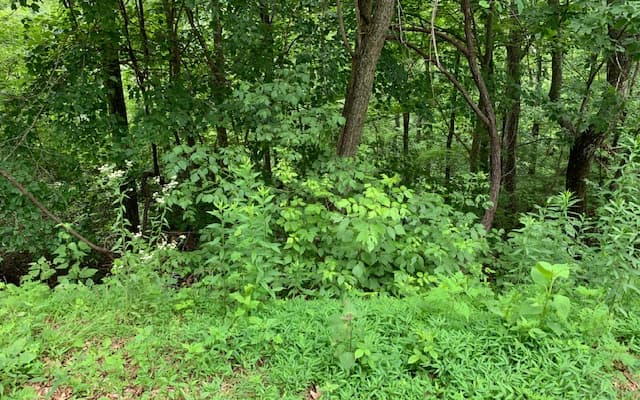 Lot 50A Eagles View, Hayesville NC 28904 - Photo