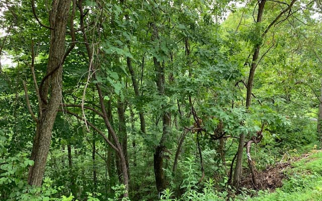 Lot 50A Eagles View, Hayesville NC 28904 - Photo