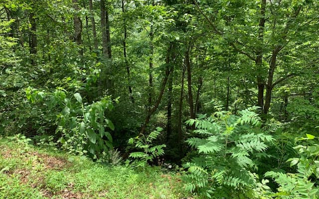 Lot 50A Eagles View, Hayesville NC 28904 - Photo