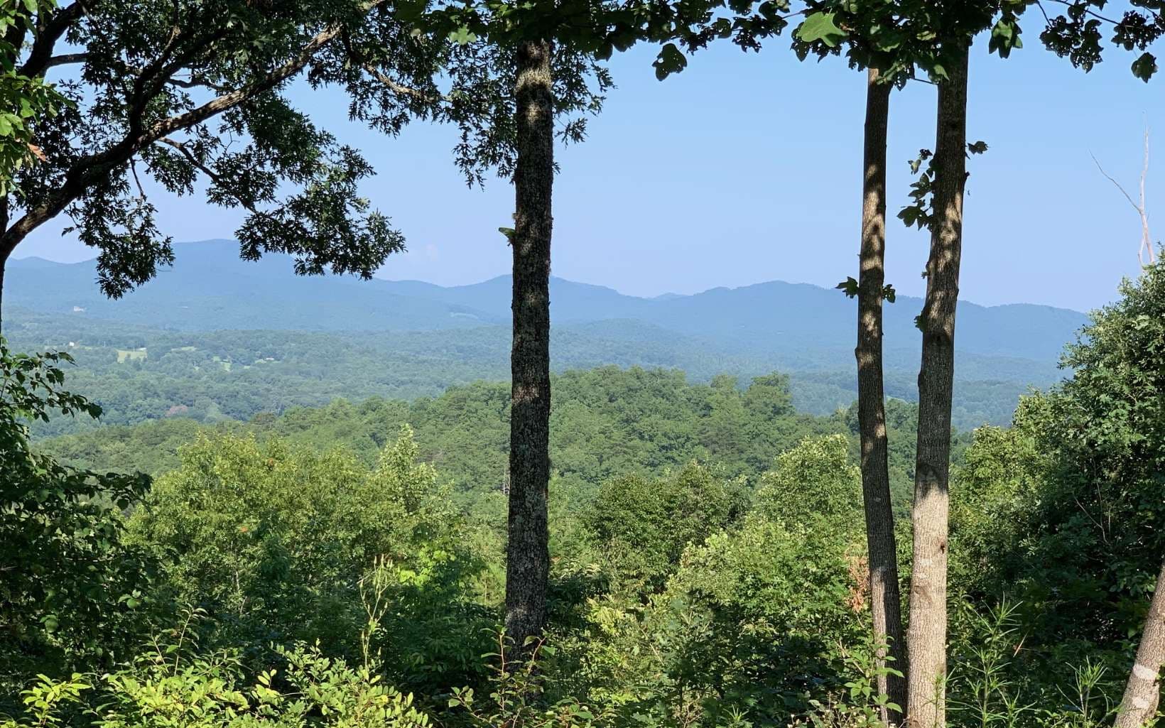 LOT 7 Golden Oaks, Warne NC 28909 - Photo