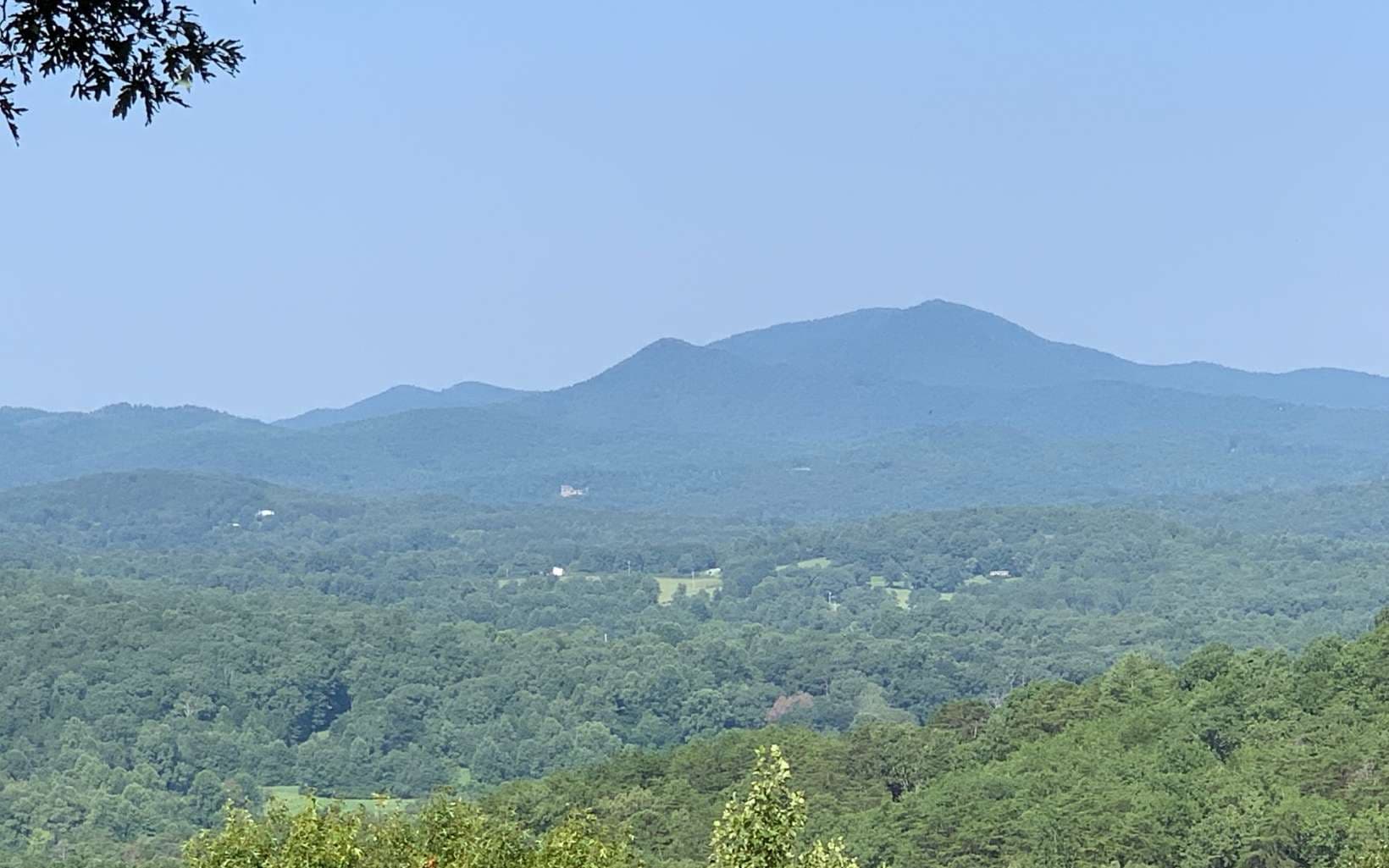 LOT 7 Golden Oaks, Warne NC 28909 - Photo