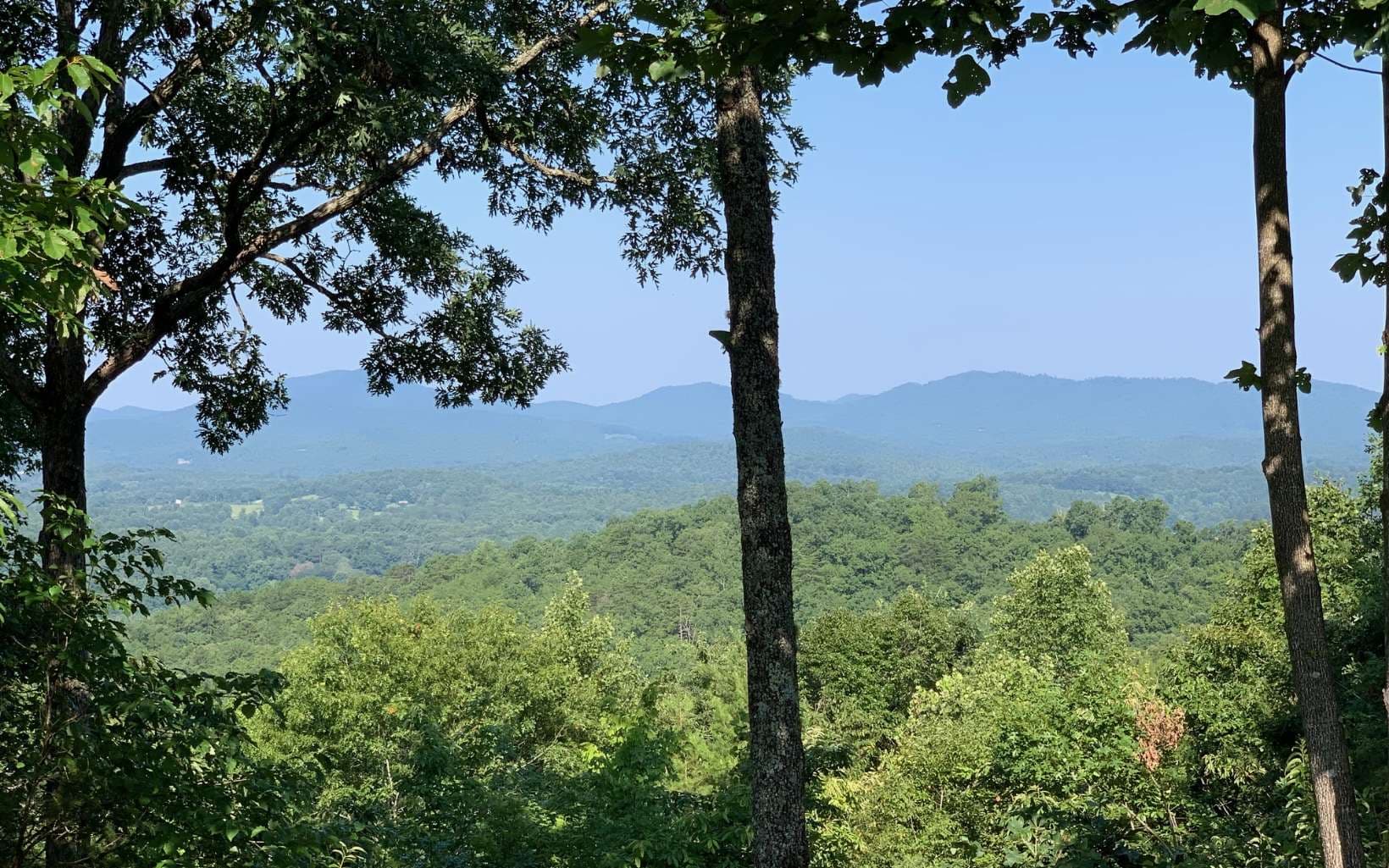 LOT 7 Golden Oaks, Warne NC 28909 - Photo