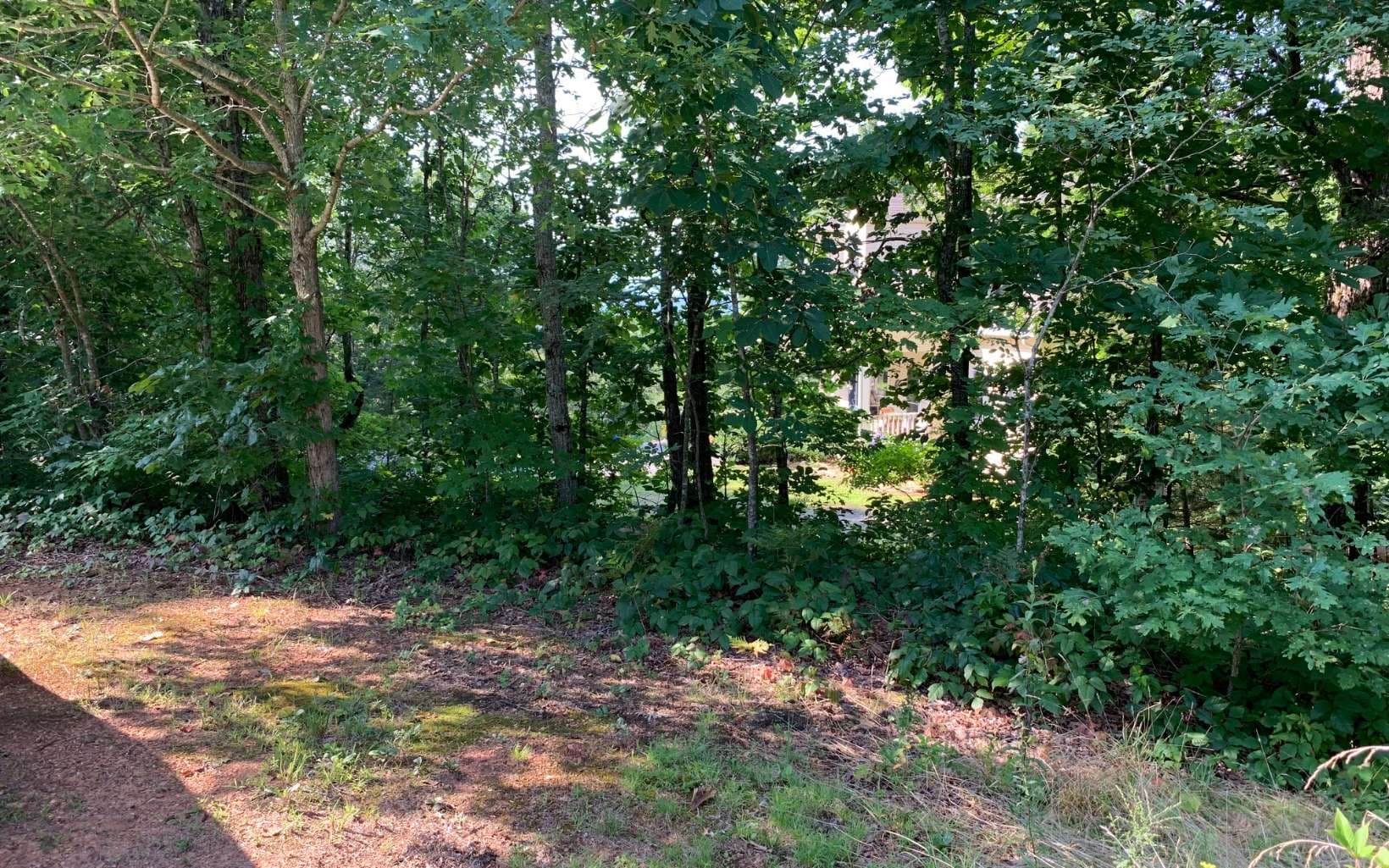 LOT 7 Golden Oaks, Warne NC 28909 - Photo