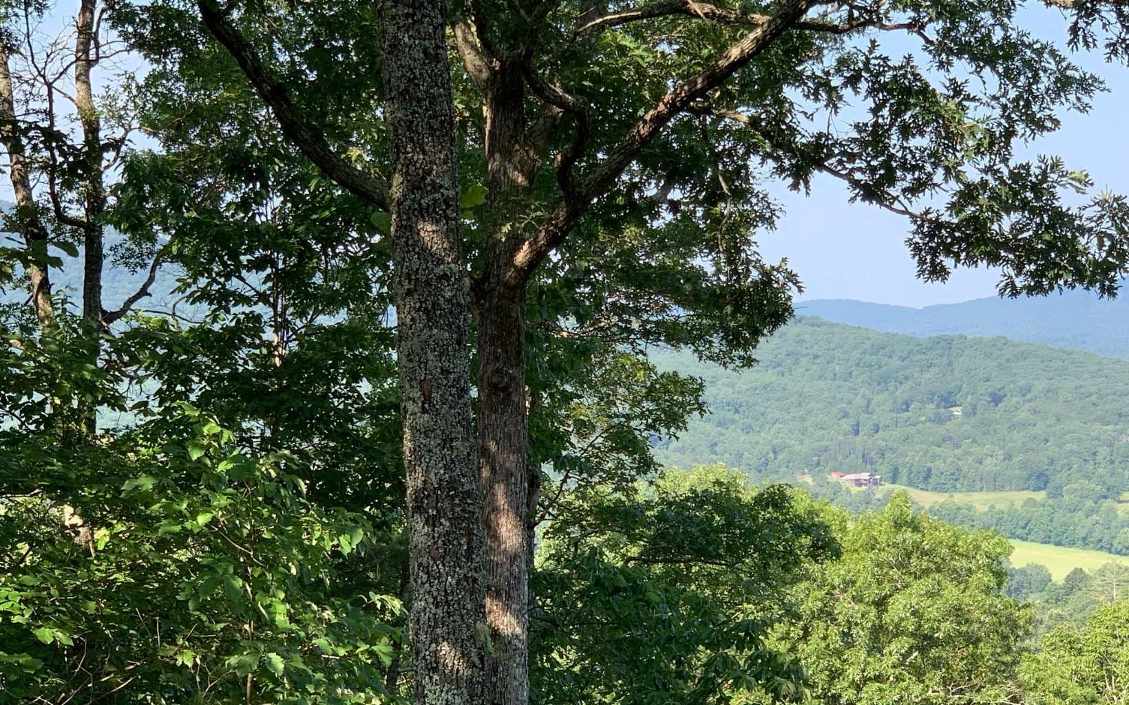 LOT 7 Golden Oaks, Warne NC 28909 - Photo
