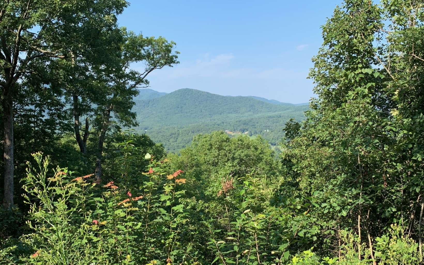 LOT 7 Golden Oaks, Warne NC 28909 - Photo