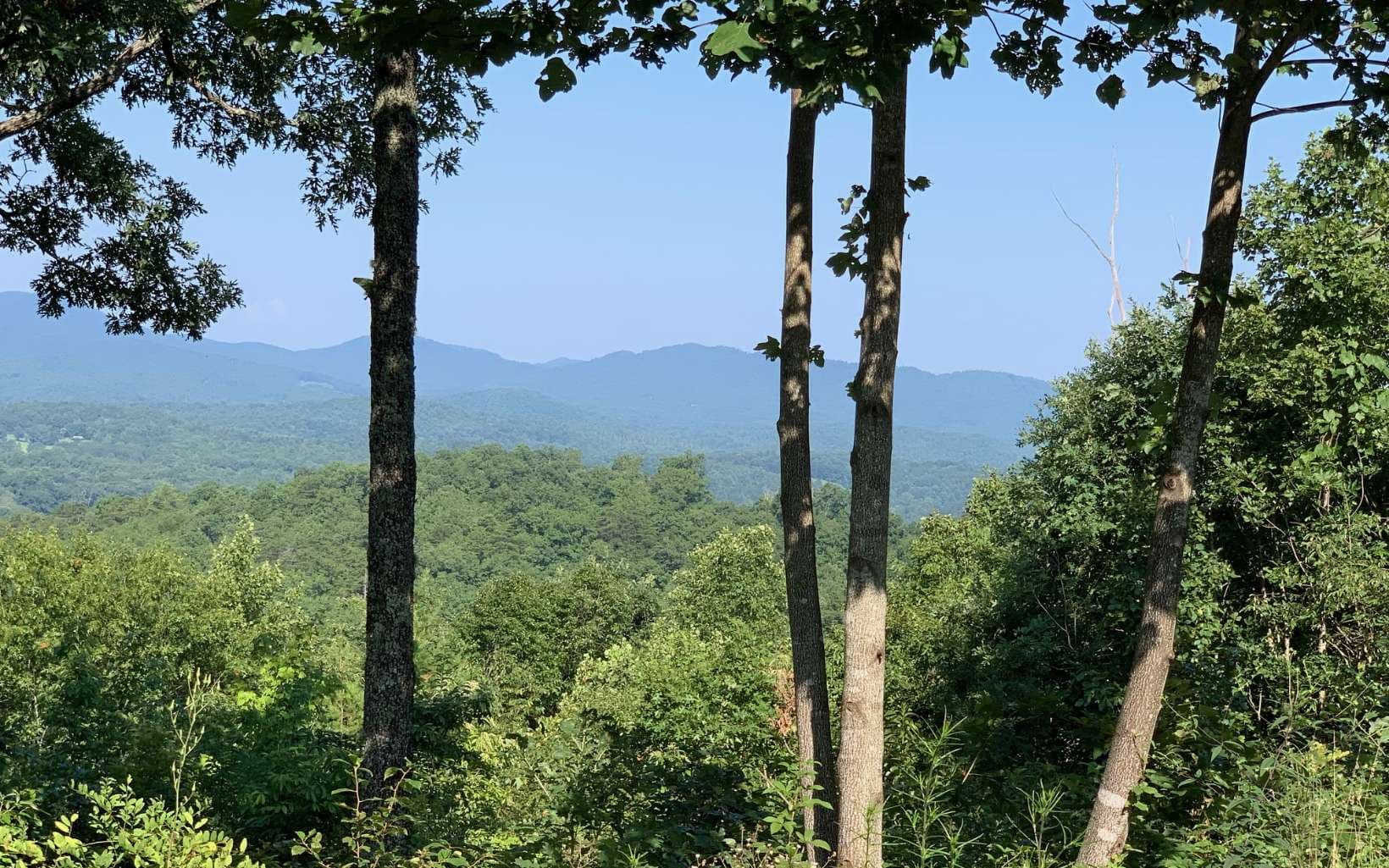 LOT 7 Golden Oaks, Warne NC 28909 - Primary photo