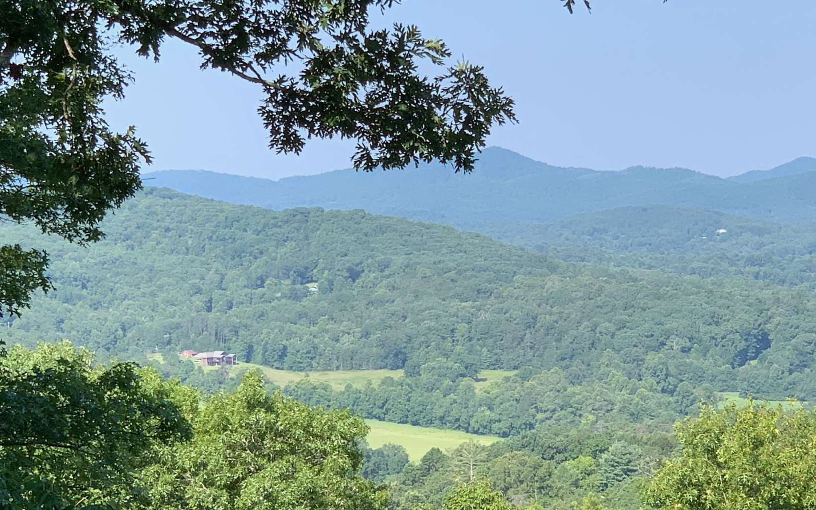 LOT 7 Golden Oaks, Warne NC 28909 - Photo