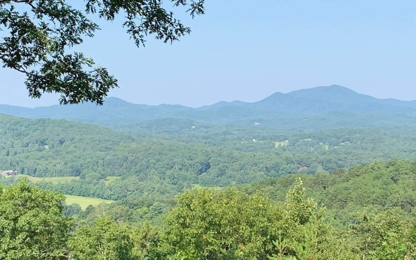 LOT 7 Golden Oaks, Warne NC 28909 - Photo