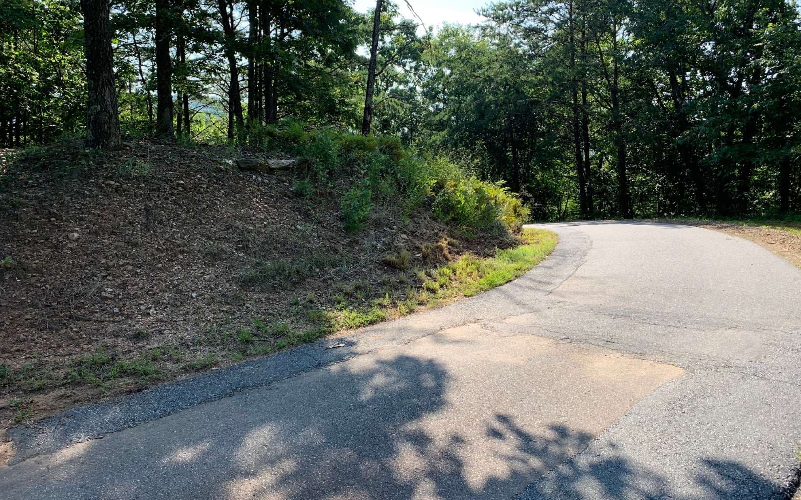 LOT 7 Golden Oaks, Warne NC 28909 - Photo
