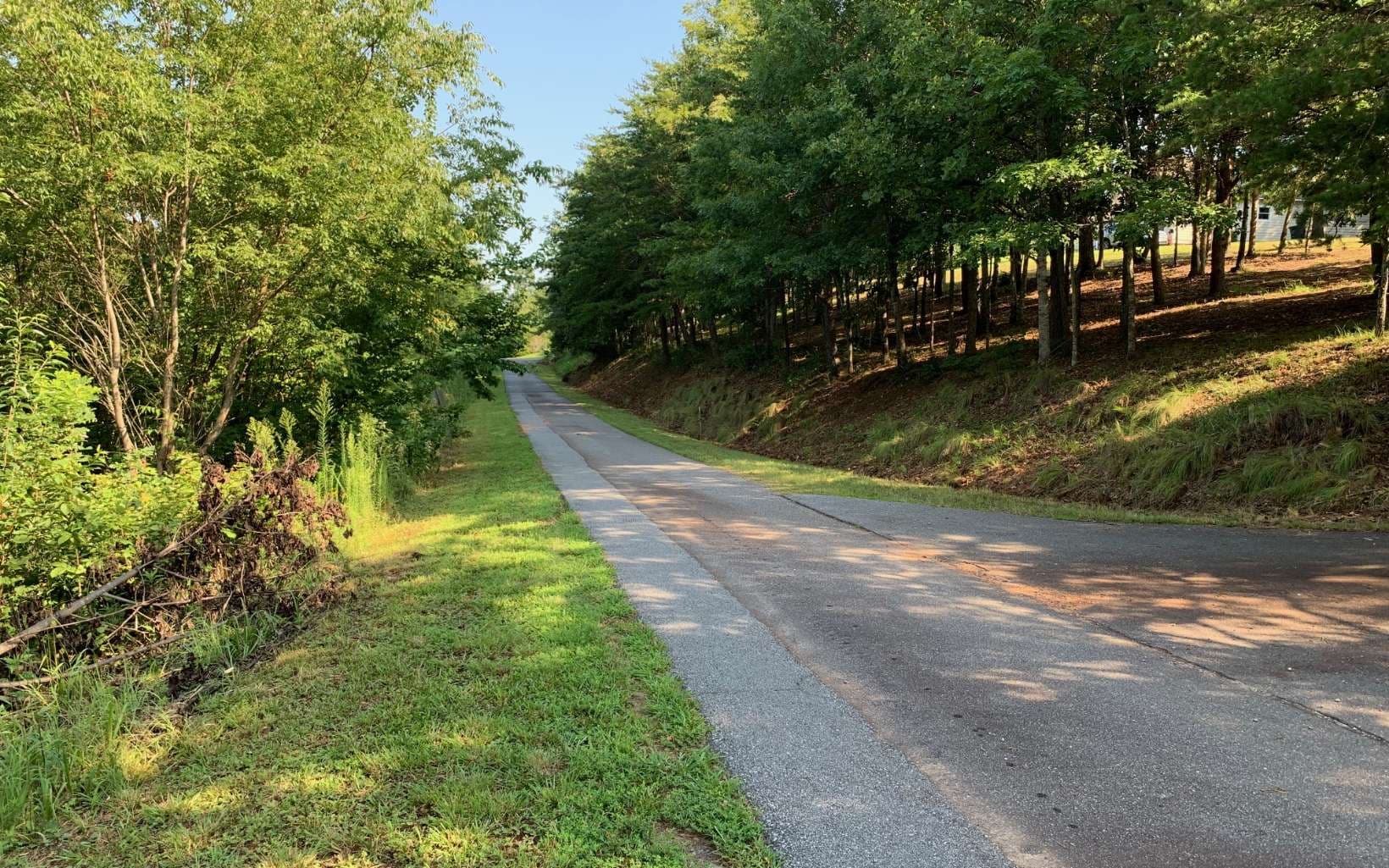 LOT 7 Golden Oaks, Warne NC 28909 - Photo
