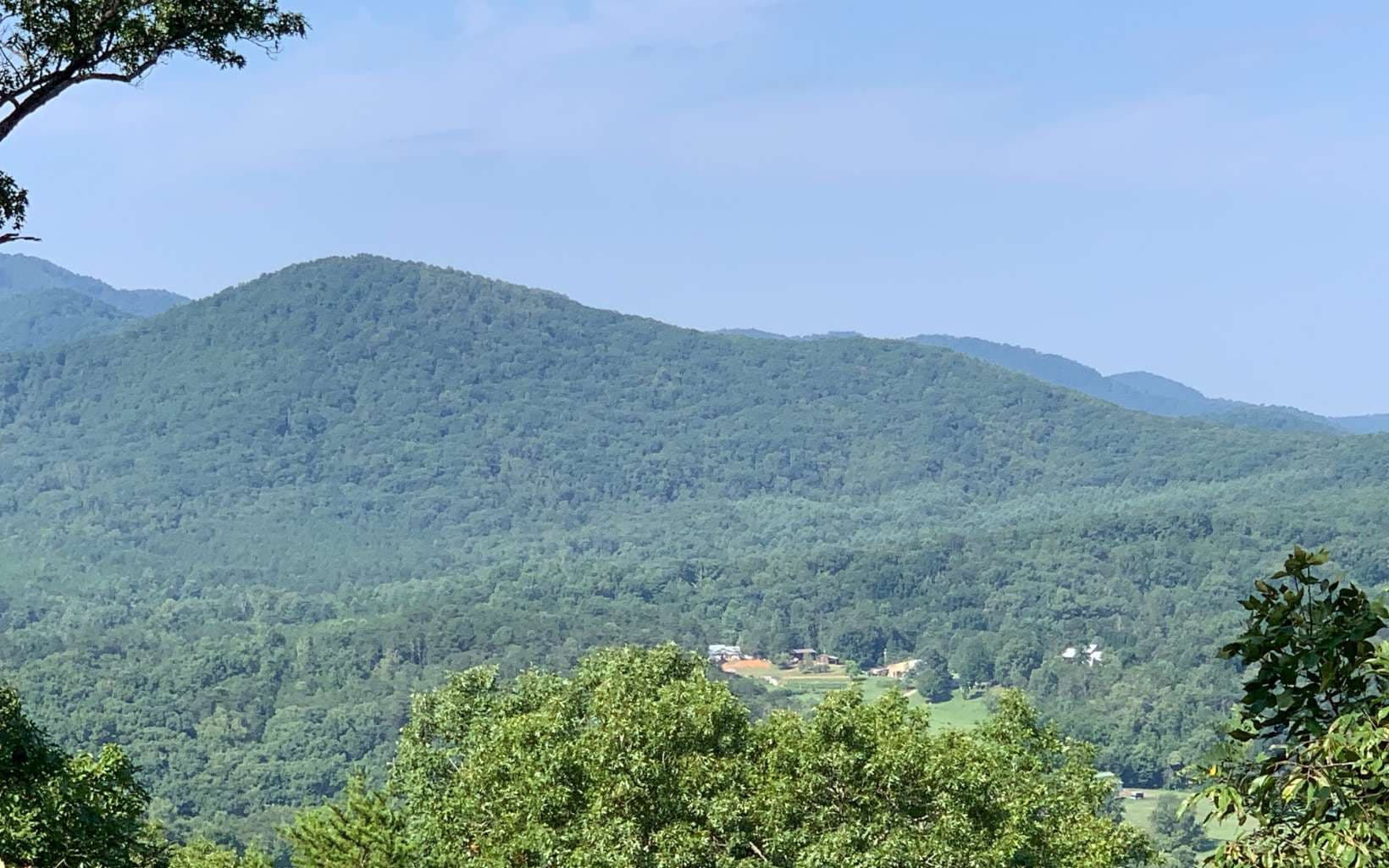 LOT 7 Golden Oaks, Warne NC 28909 - Photo
