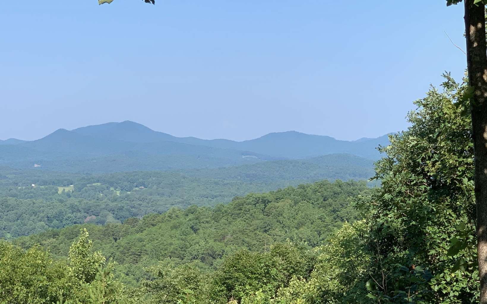 LOT 7 Golden Oaks, Warne NC 28909 - Photo