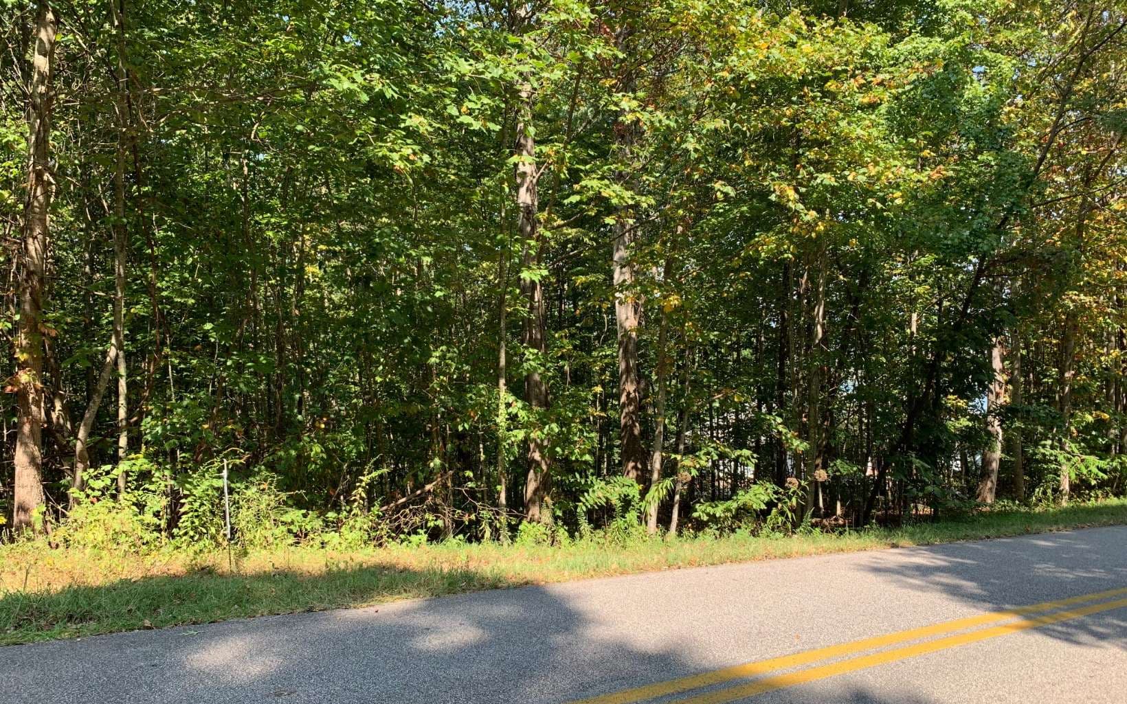 Lot 26 Lake Forest Estates, Hiawassee GA 30546 - Photo