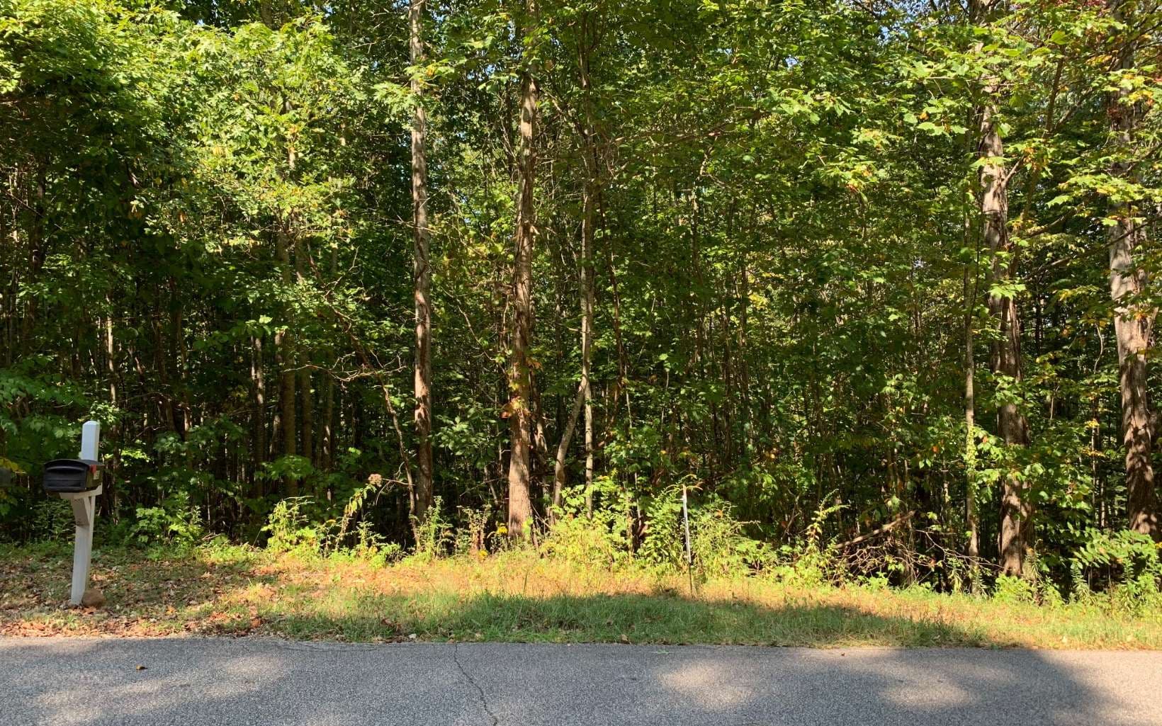Lot 26 Lake Forest Estates, Hiawassee GA 30546 - Photo