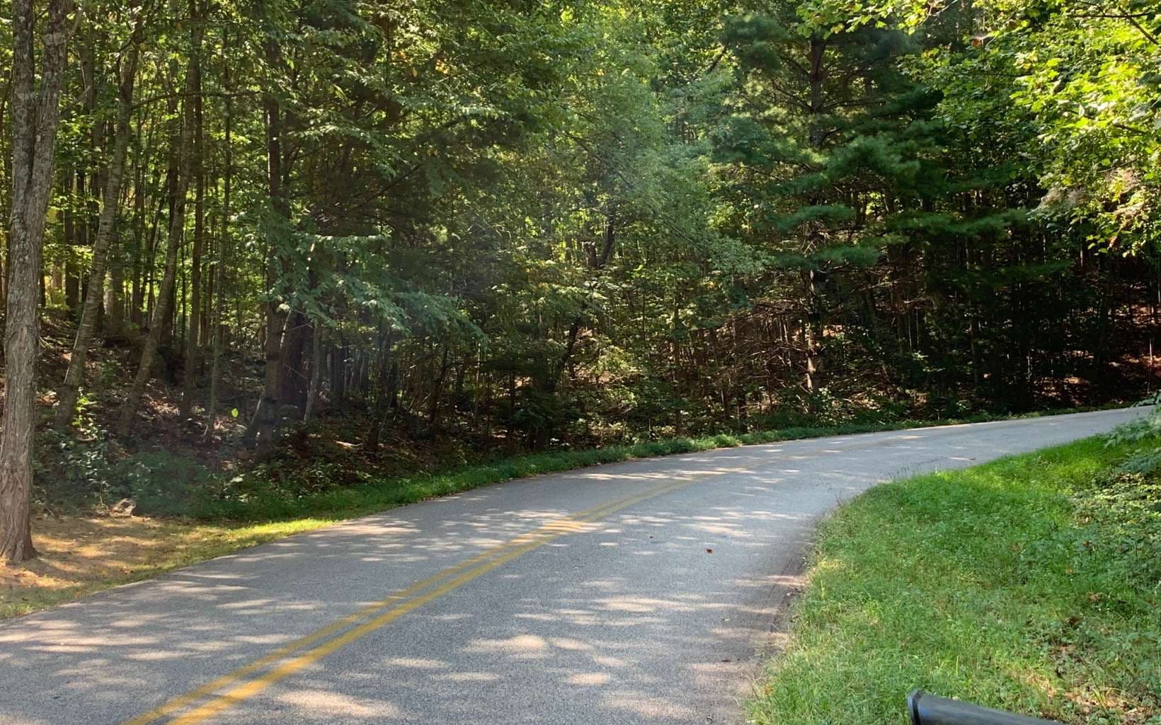 Lot 26 Lake Forest Estates, Hiawassee GA 30546 - Photo