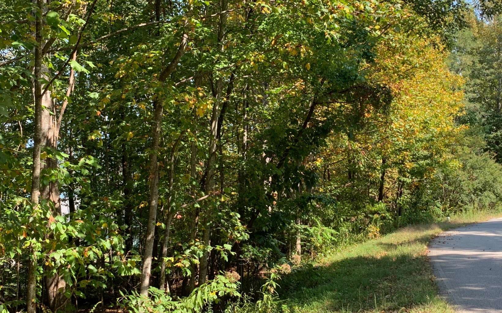 Lot 26 Lake Forest Estates, Hiawassee GA 30546 - Photo