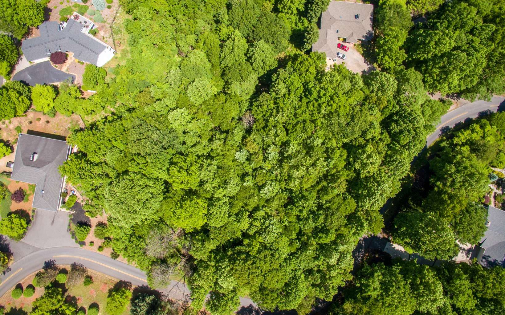 Lot 26 Lake Forest Estates, Hiawassee GA 30546 - Photo