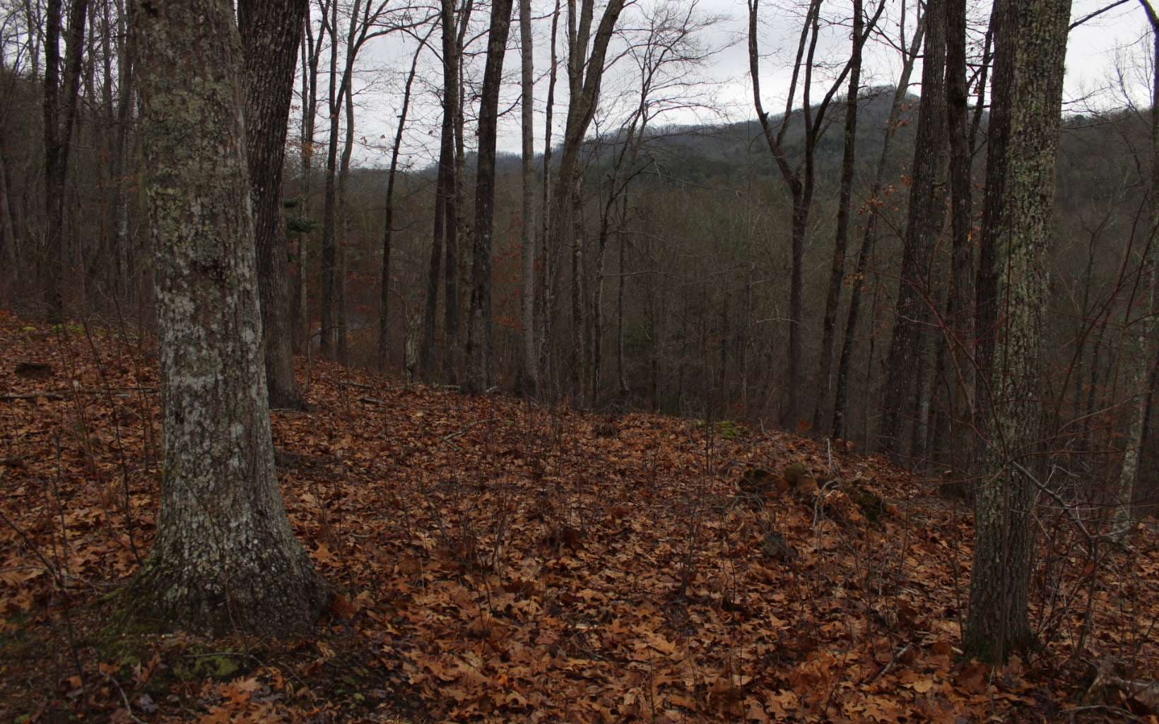 22 Thunder Road, Hayesville NC 28904 - Photo