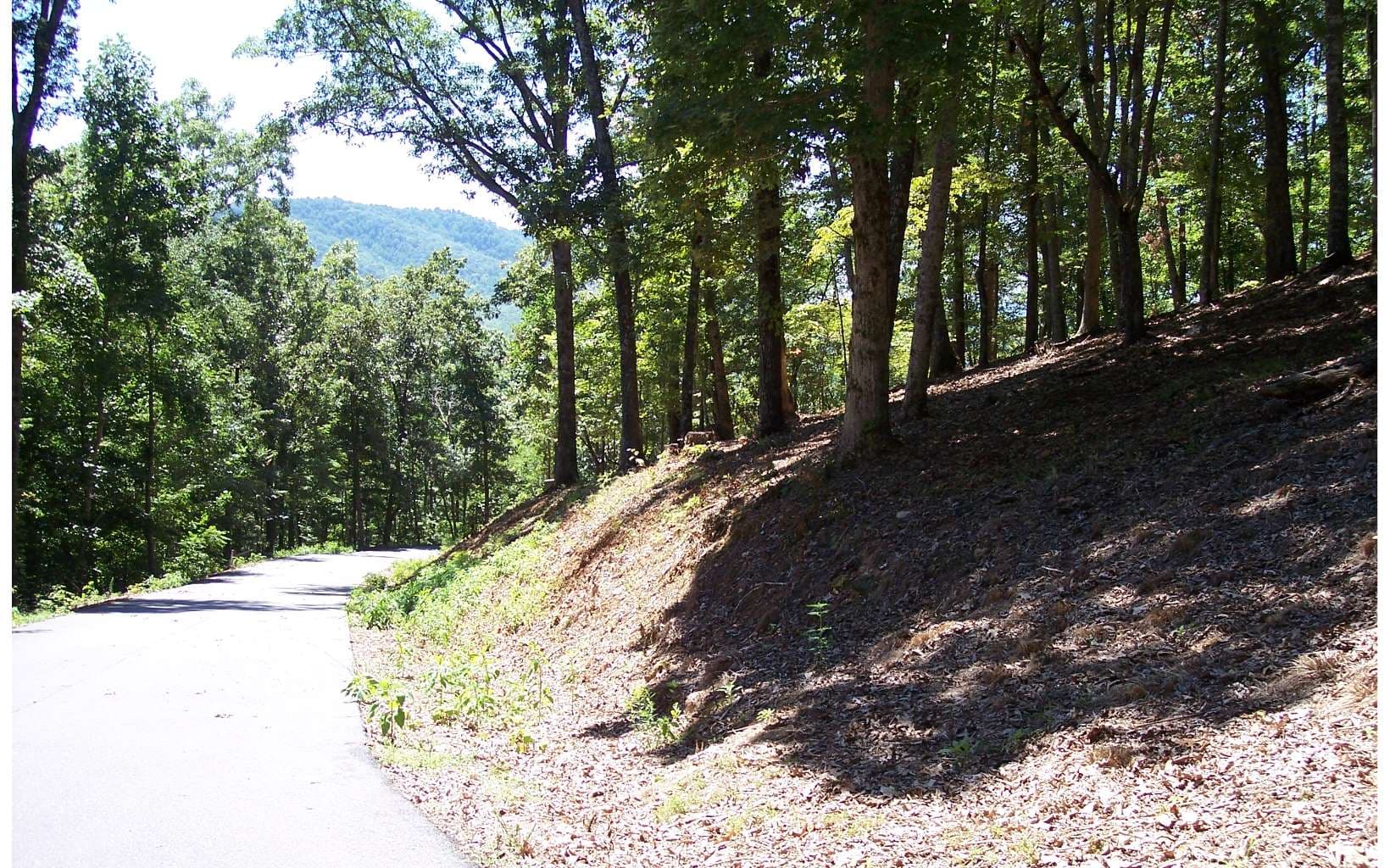 22 Thunder Road, Hayesville NC 28904 - Photo