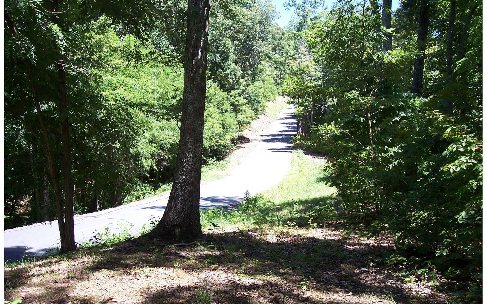 22 Thunder Road, Hayesville NC 28904 - Photo