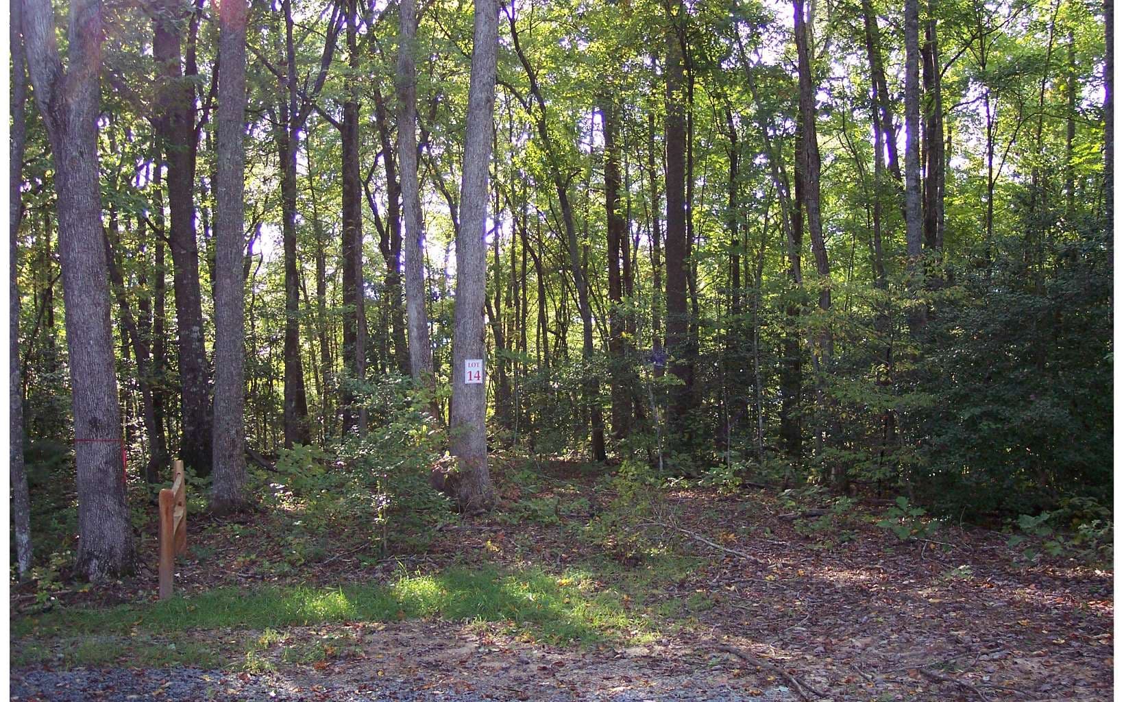 22 Thunder Road, Hayesville NC 28904 - Photo