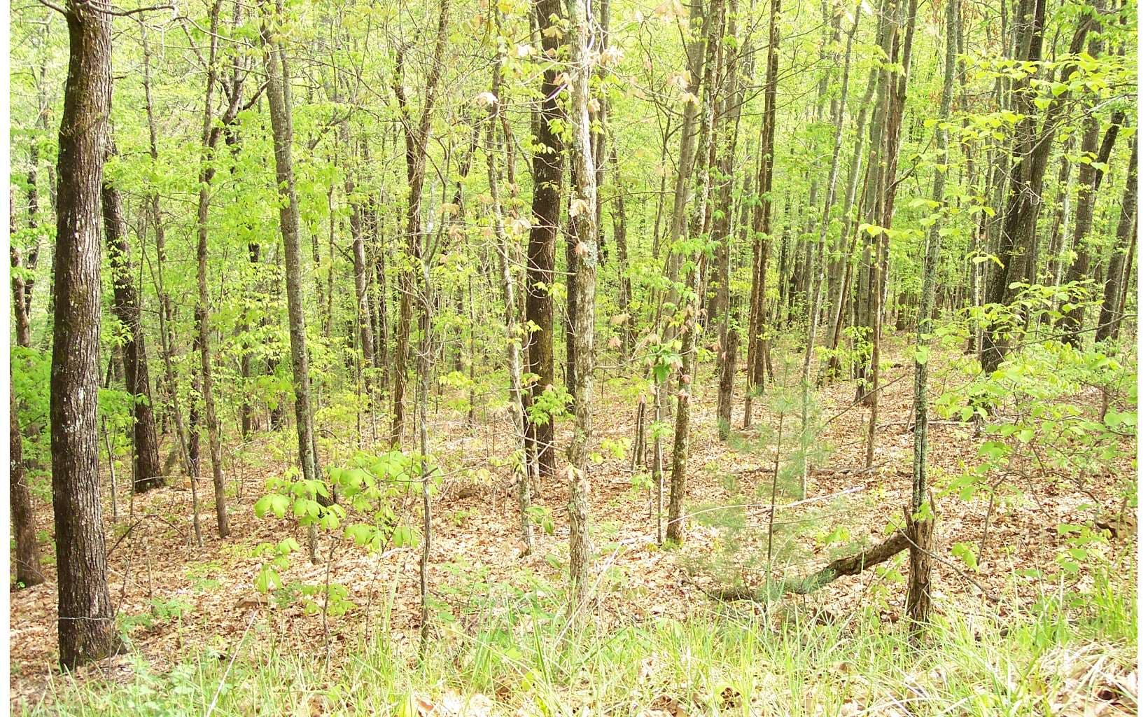 22 Thunder Road, Hayesville NC 28904 - Photo