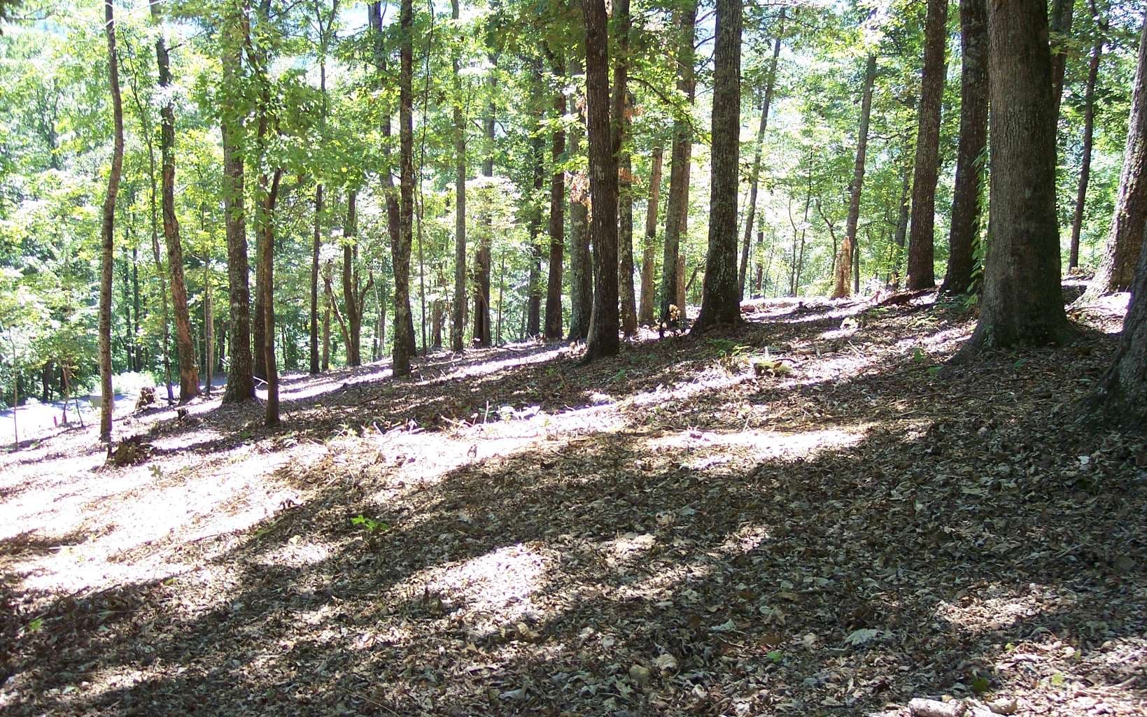 22 Thunder Road, Hayesville NC 28904 - Photo