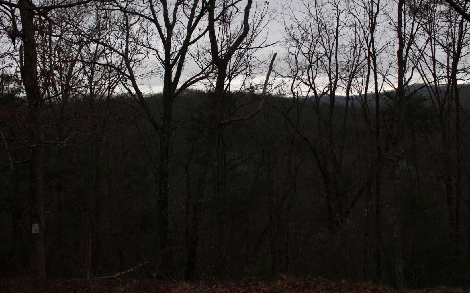 4 Thunder Road, Hayesville NC 28904 - Primary photo