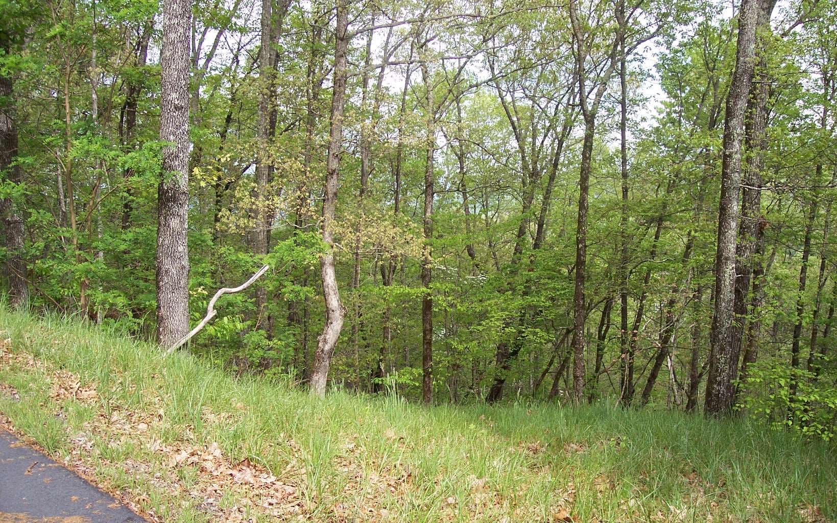 4 Thunder Road, Hayesville NC 28904 - Photo