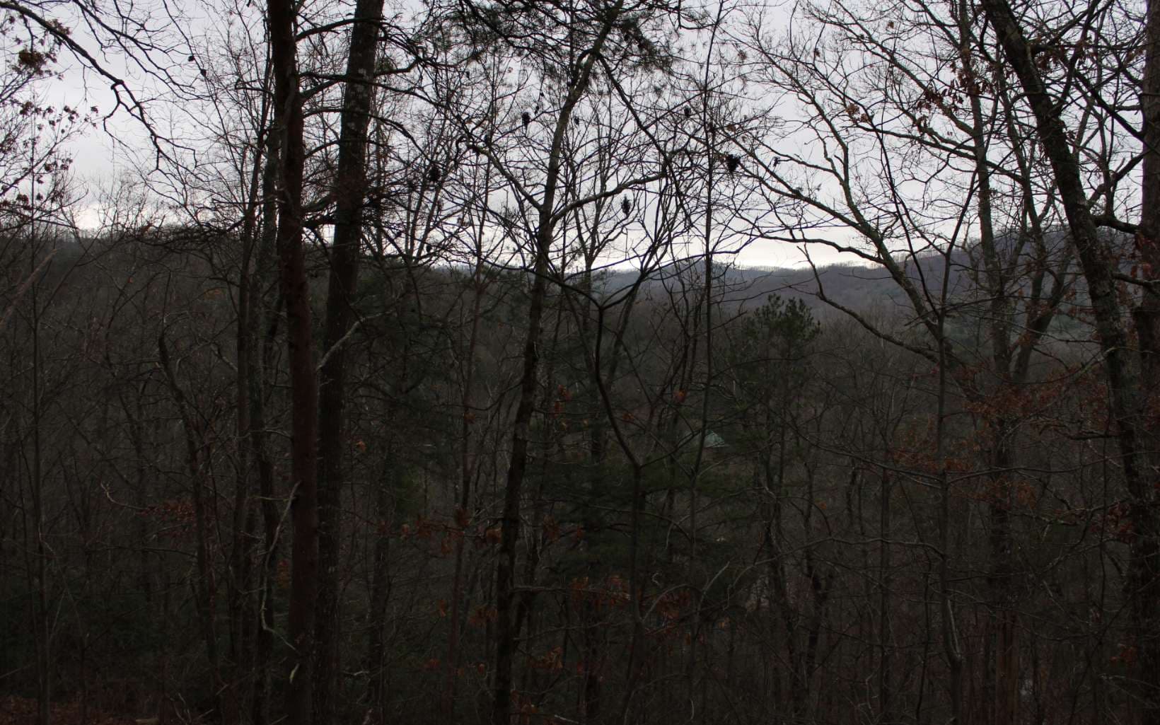 5 Thunder Road, Hayesville NC 28904 - Primary photo