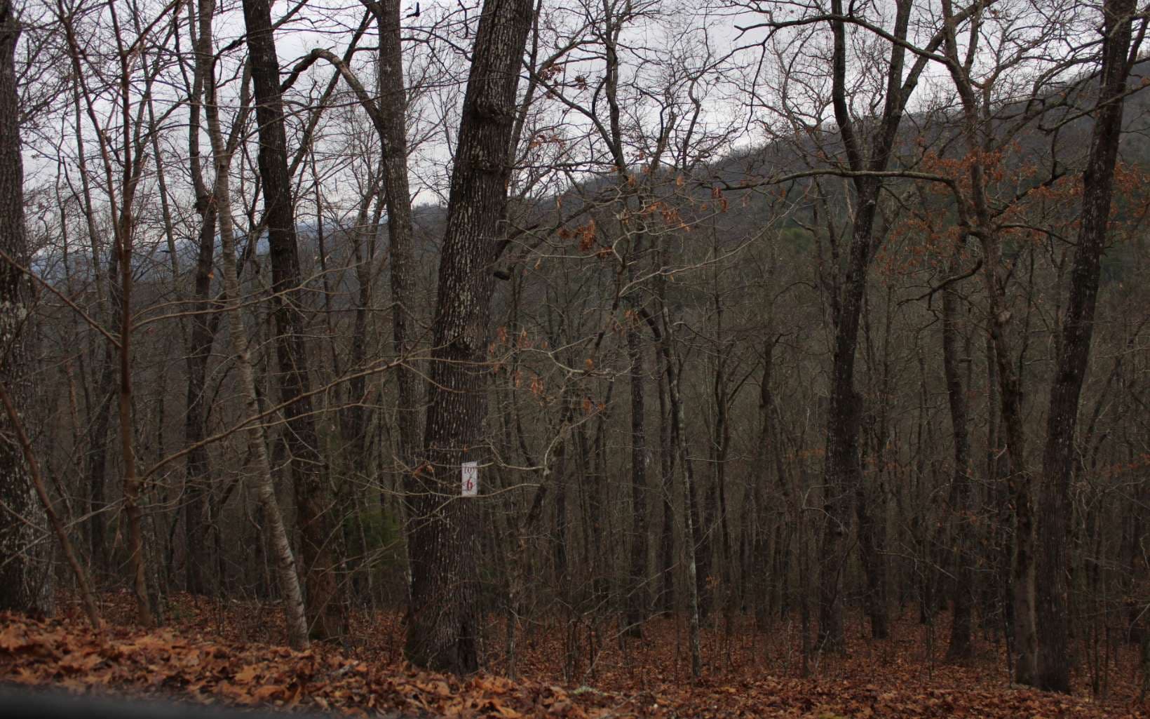7 Thunder Road, Hayesville NC 28904 - Primary photo