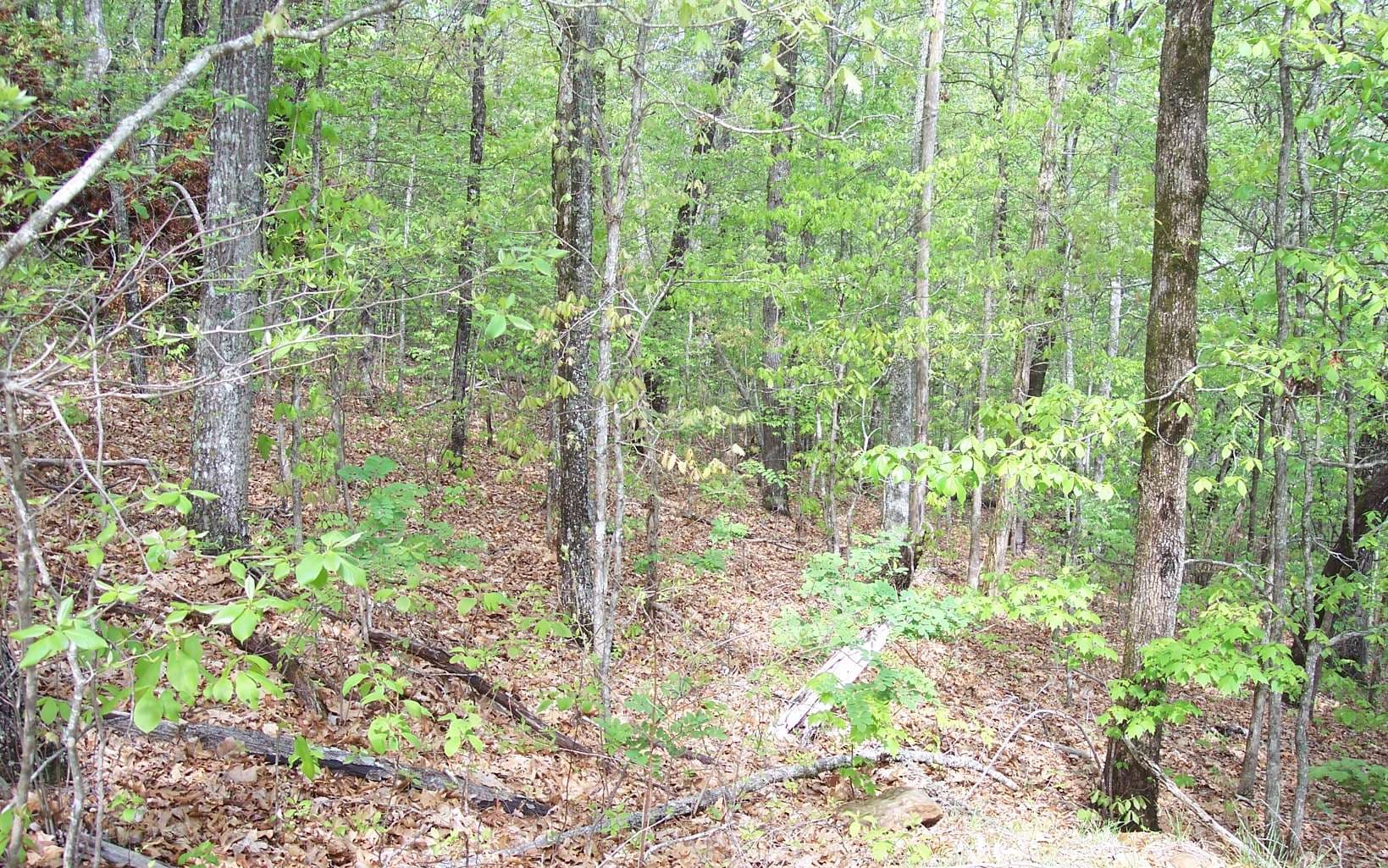 7 Thunder Road, Hayesville NC 28904 - Photo