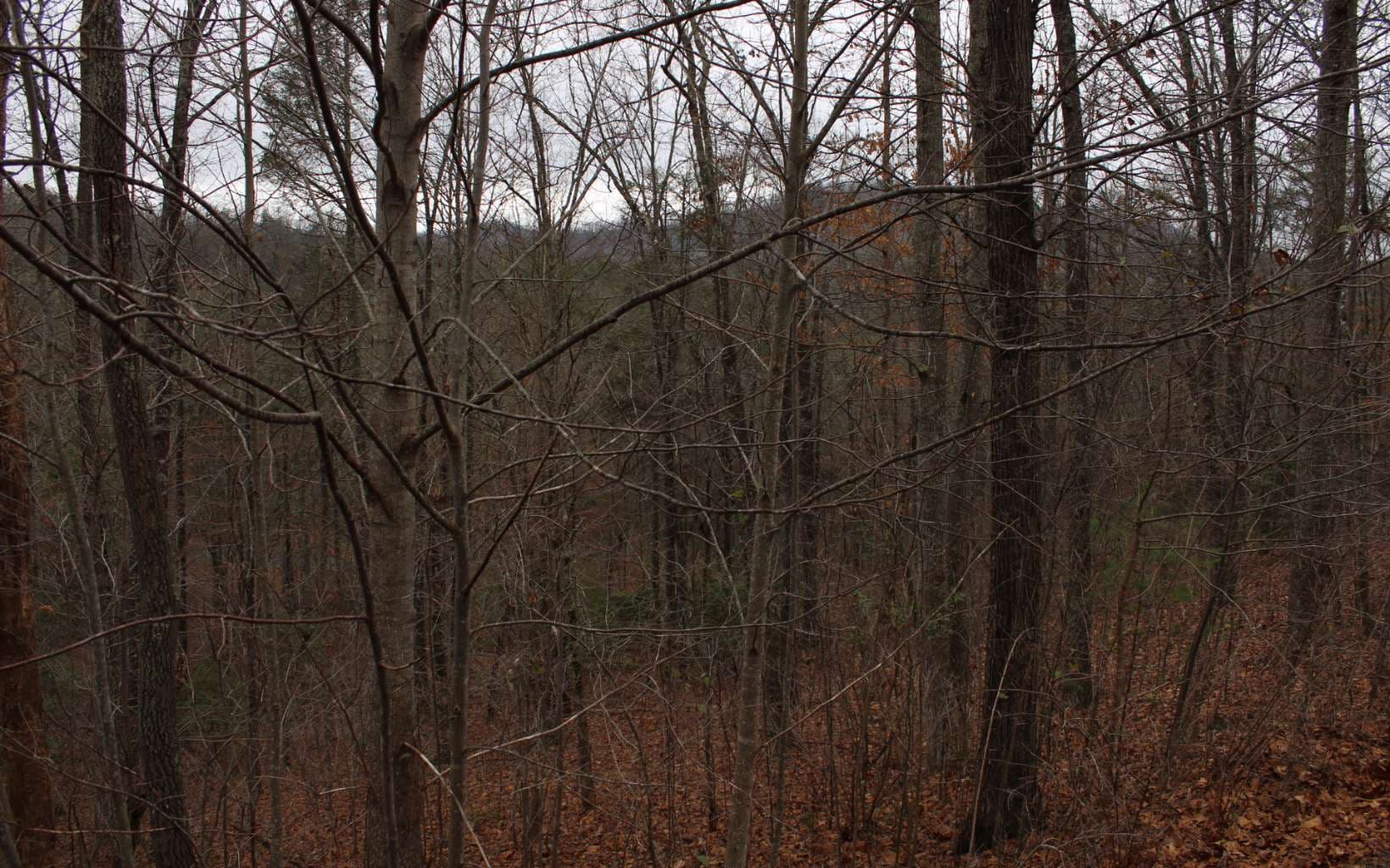 20 Thunder Road, Hayesville NC 28904 - Primary photo
