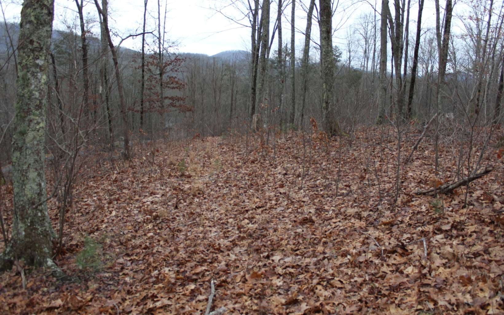 21 Thunder Road, Hayesville NC 28904 - Primary photo