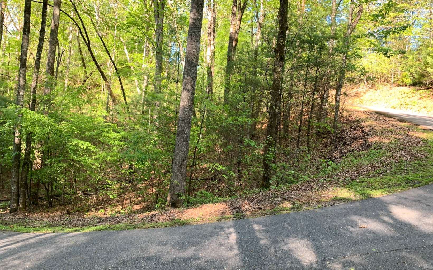 Lot 44 Fires Creek Cove Road, Hayesville NC 28904 - Photo