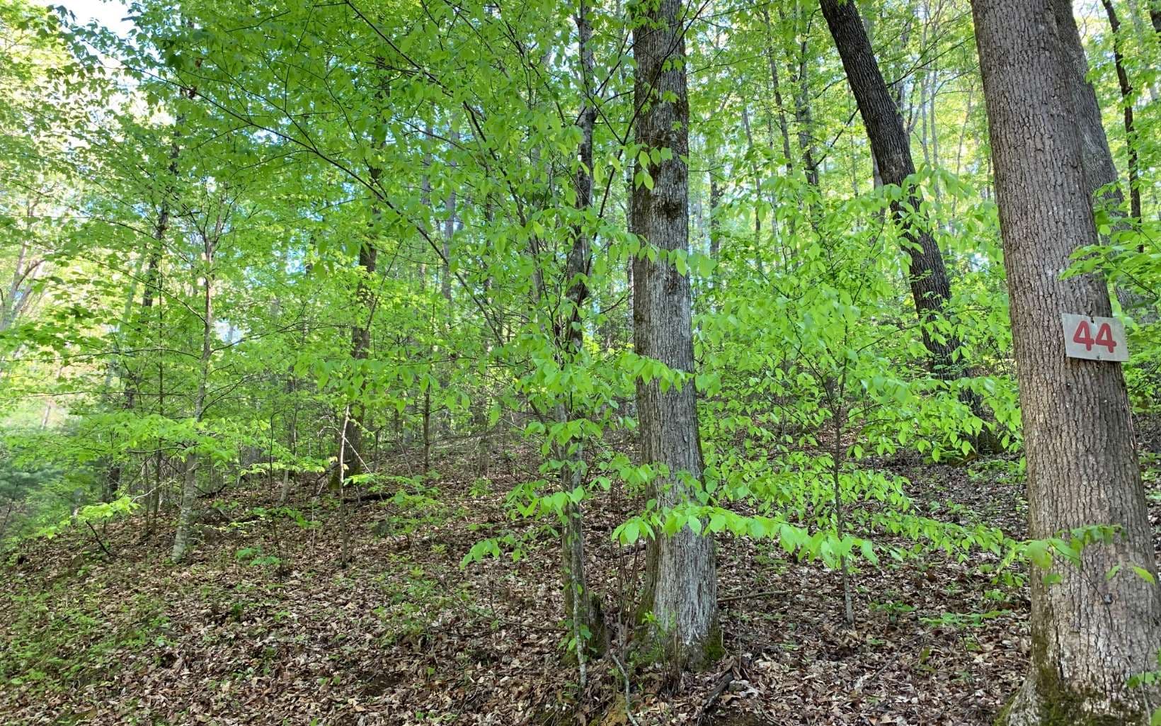 Lot 44 Fires Creek Cove Road, Hayesville NC 28904 - Photo