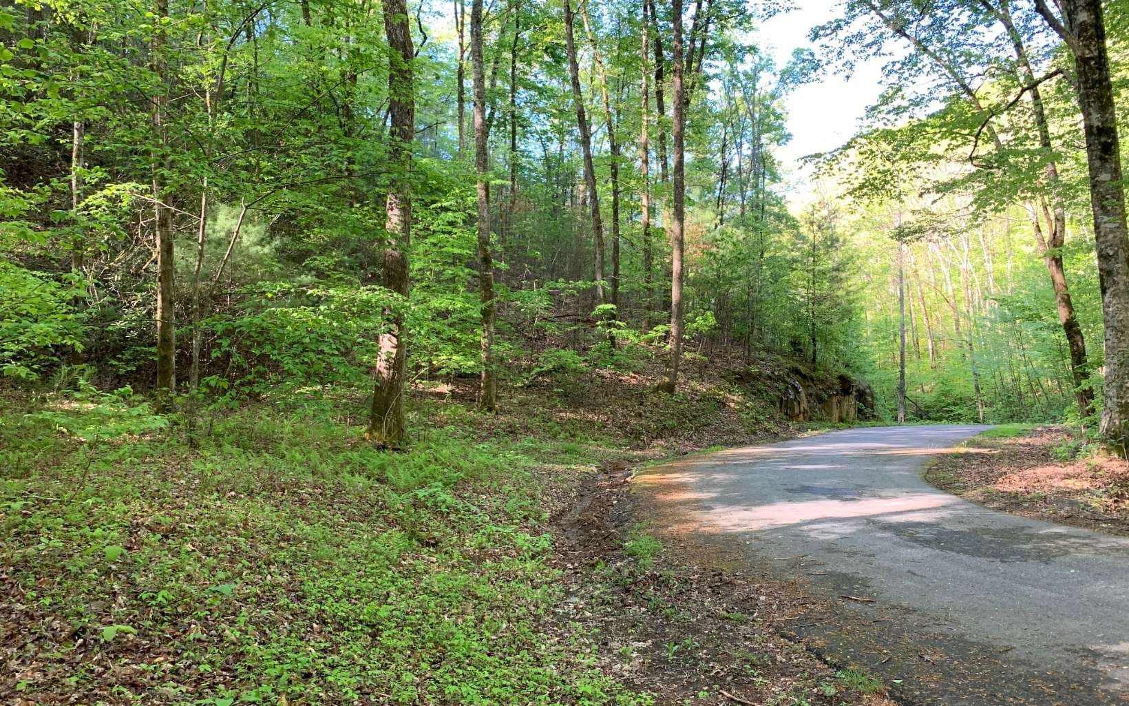Lot 44 Fires Creek Cove Road, Hayesville NC 28904 - Photo
