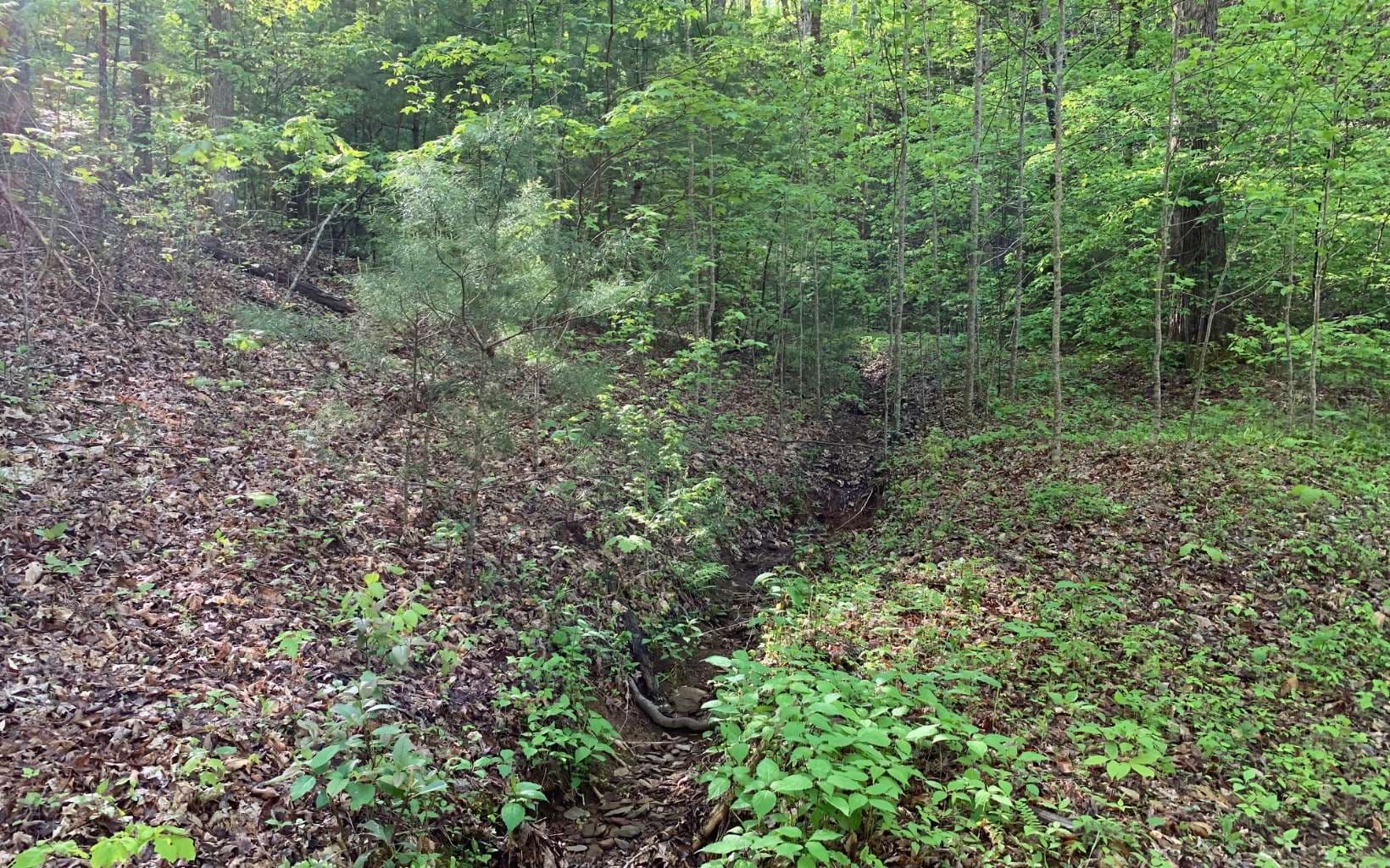 Lot 44 Fires Creek Cove Road, Hayesville NC 28904 - Photo