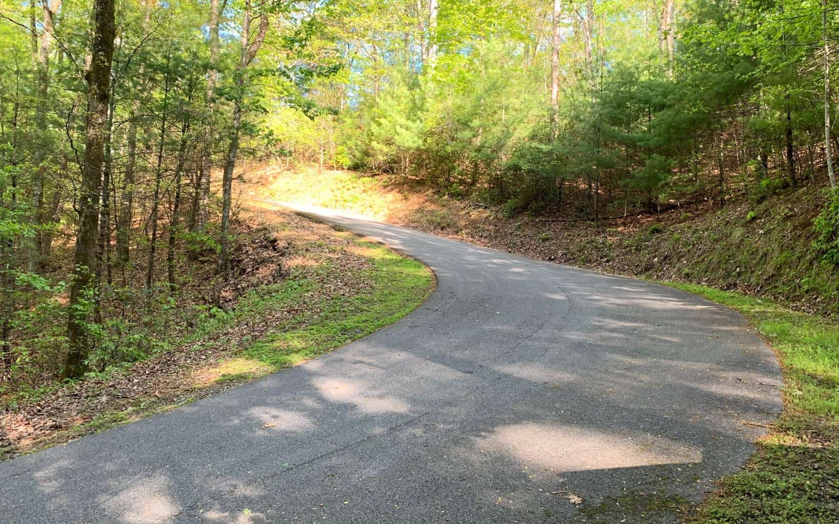 Lot 44 Fires Creek Cove Road, Hayesville NC 28904 - Photo