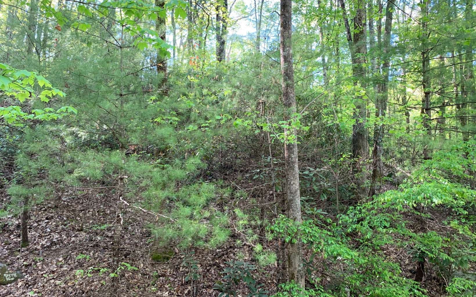 Lot 44 Fires Creek Cove Road, Hayesville NC 28904 - Photo