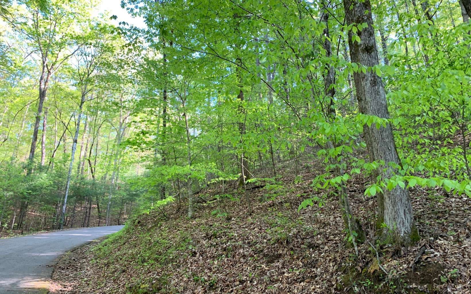 Lot 44 Fires Creek Cove Road, Hayesville NC 28904 - Photo