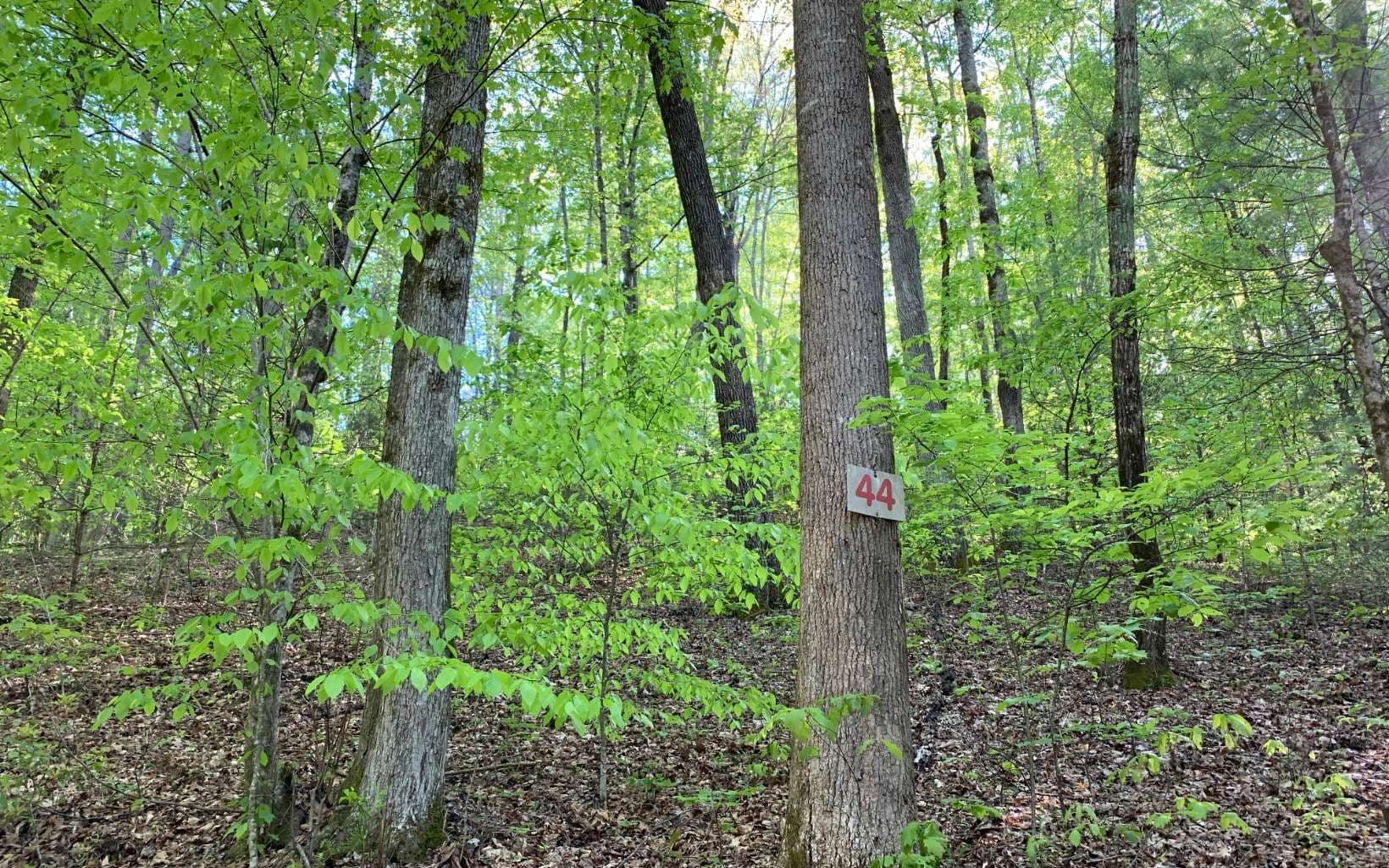 Lot 44 Fires Creek Cove Road, Hayesville NC 28904 - Primary photo
