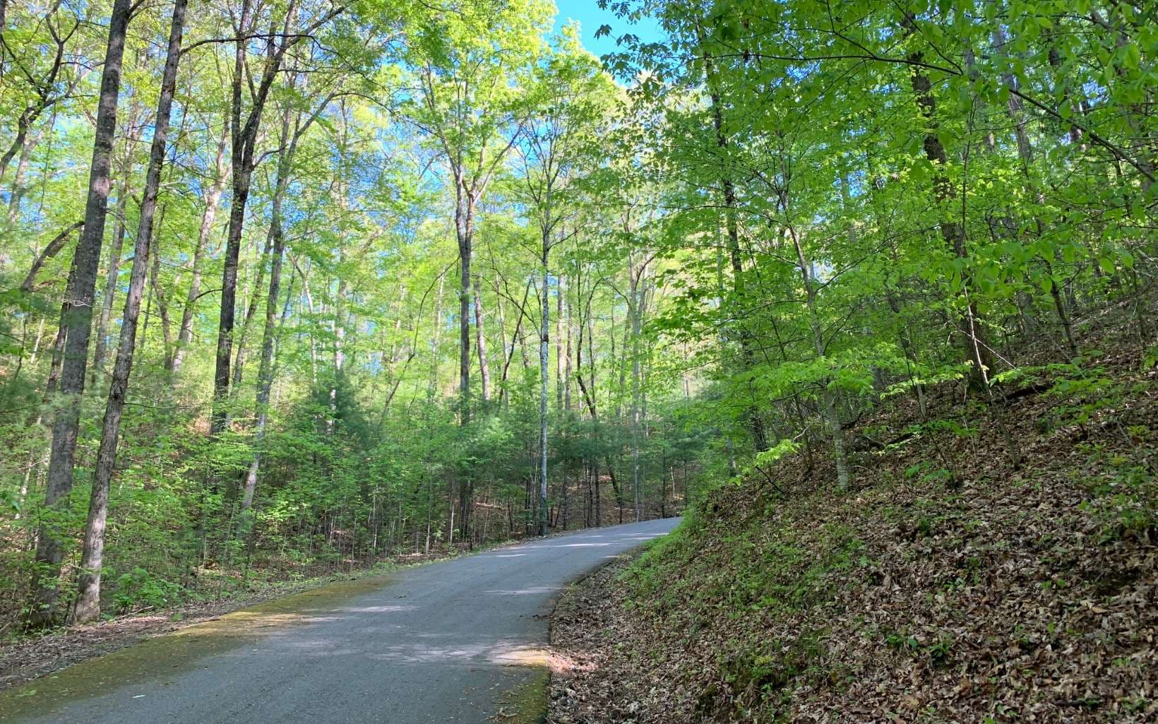 Lot 44 Fires Creek Cove Road, Hayesville NC 28904 - Photo