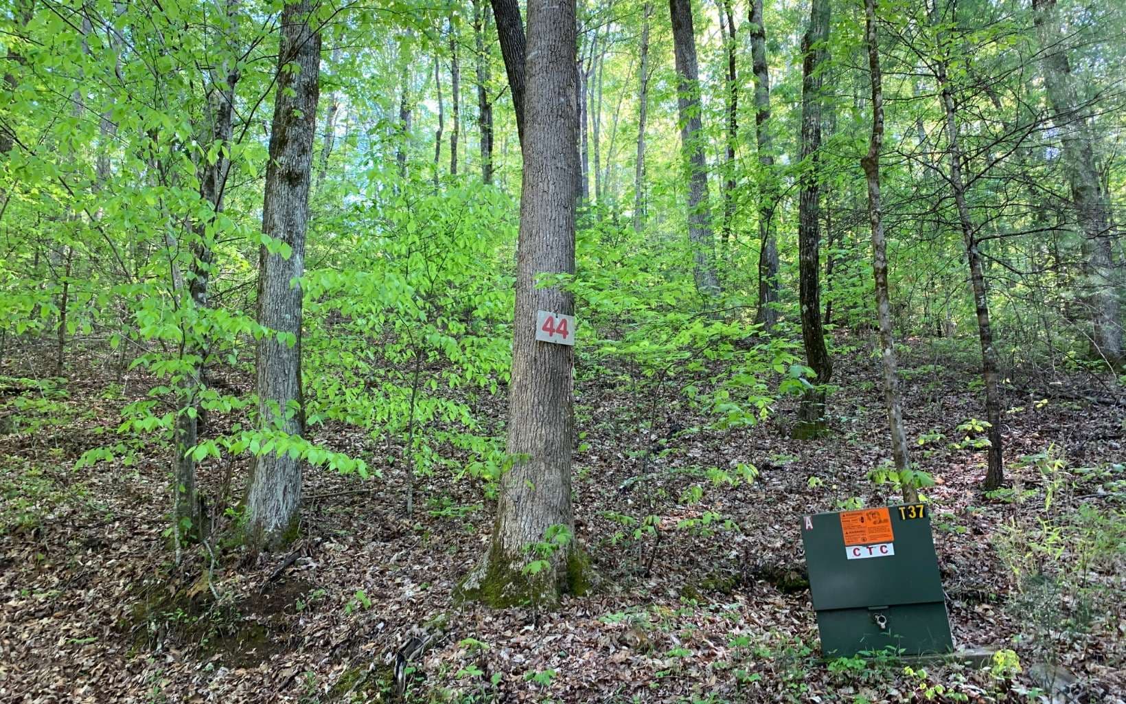 Lot 44 Fires Creek Cove Road, Hayesville NC 28904 - Photo
