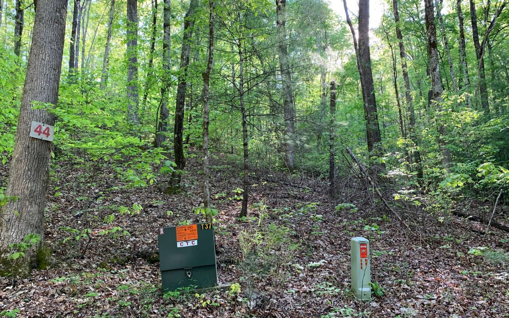 Lot 44 Fires Creek Cove Road, Hayesville NC 28904 - Photo