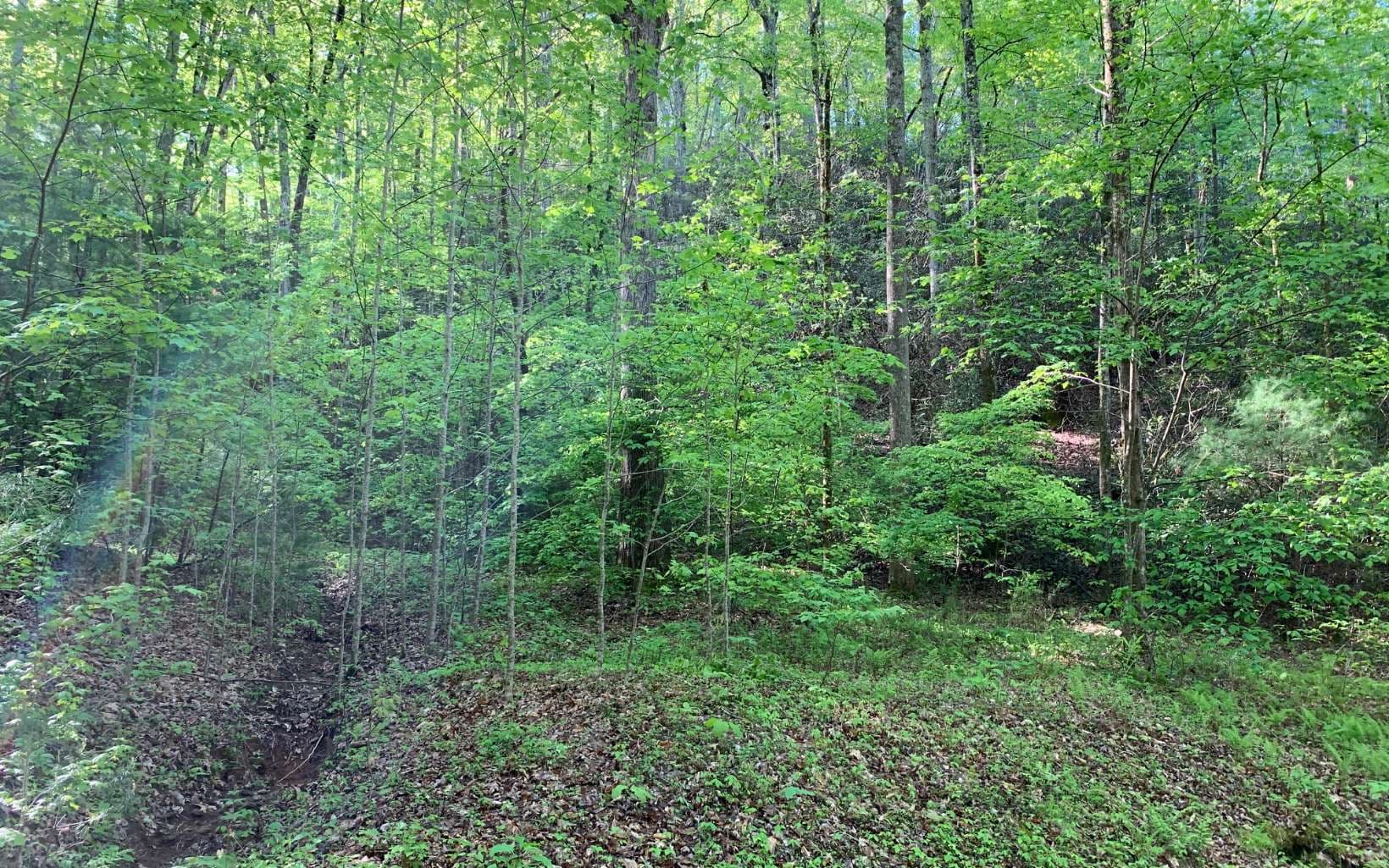 Lot 44 Fires Creek Cove Road, Hayesville NC 28904 - Photo