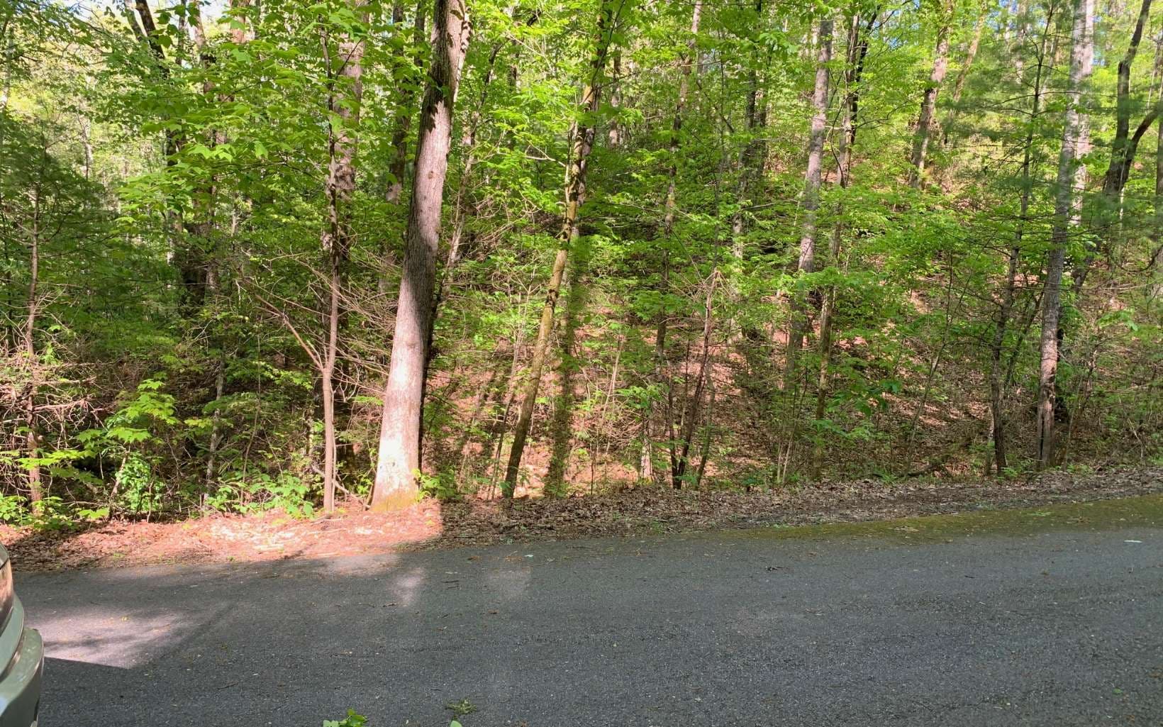 Lot 44 Fires Creek Cove Road, Hayesville NC 28904 - Photo